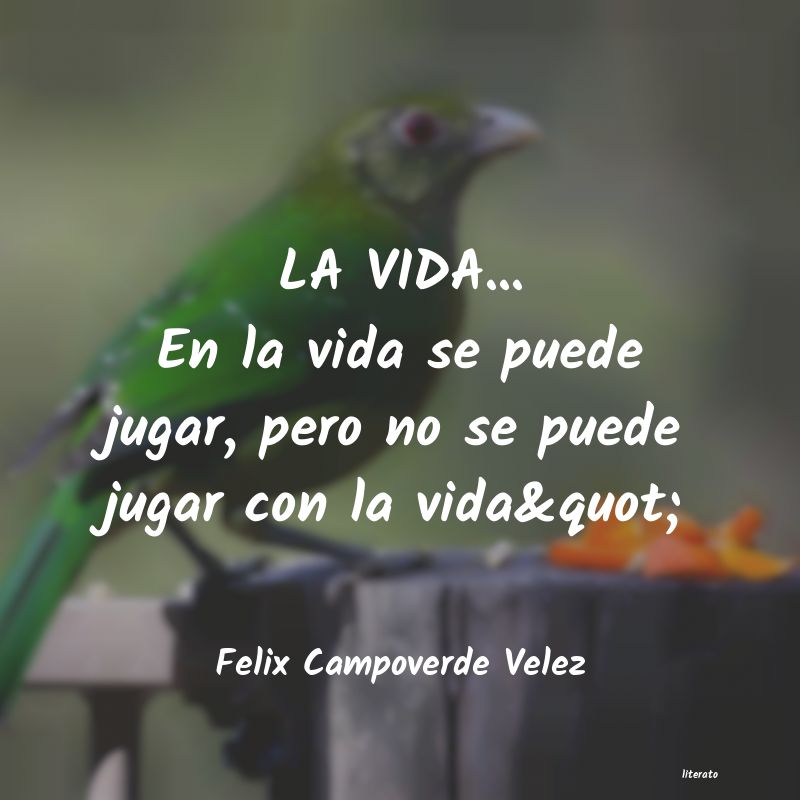 frases de Felix Campoverde Velez