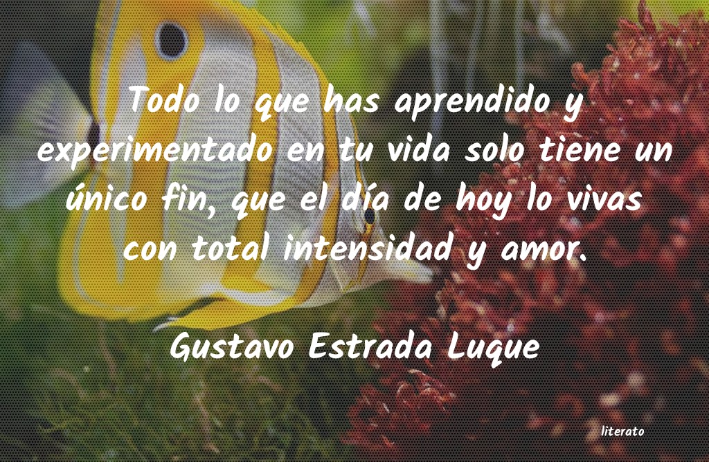 Frases de Gustavo Estrada Luque