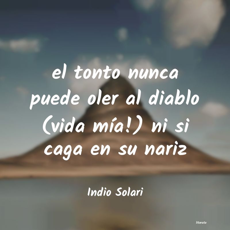 Frases de Indio Solari