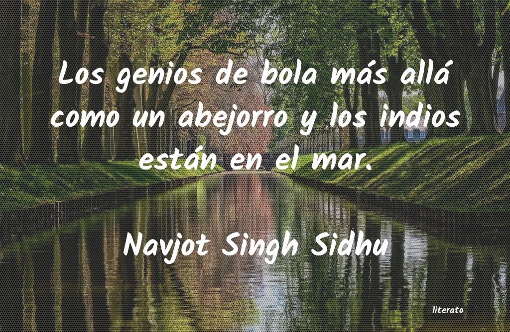 frases de Navjot Singh Sidhu