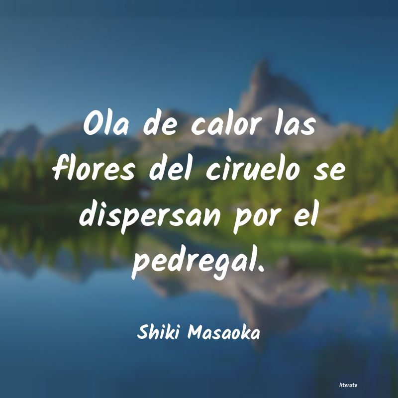 frases de Shiki Masaoka