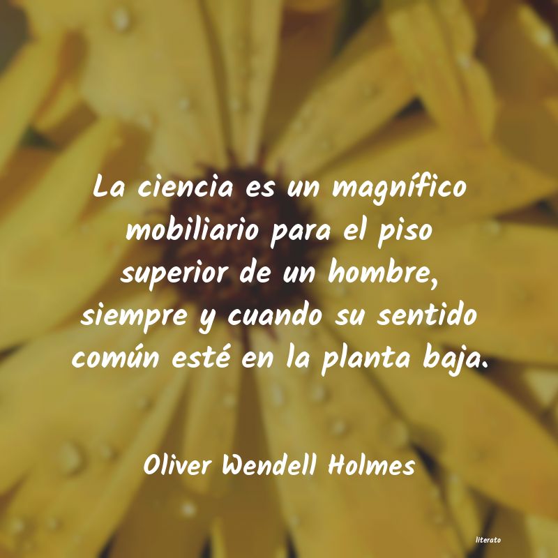 Frases de Oliver Wendell Holmes