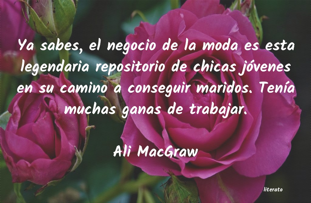 Frases de Ali MacGraw