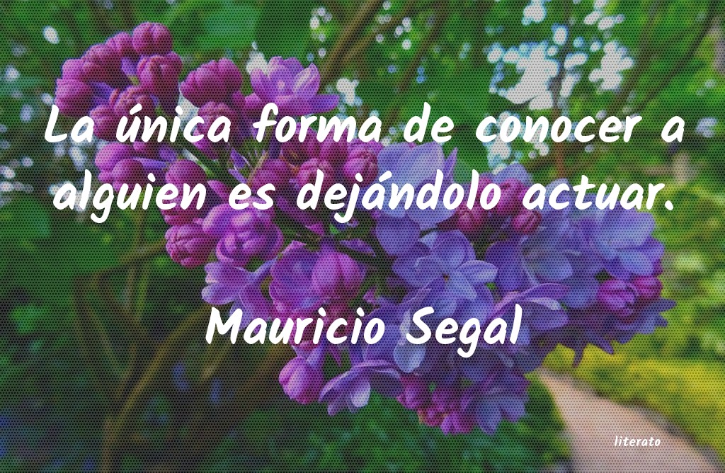 Frases de Mauricio Segal