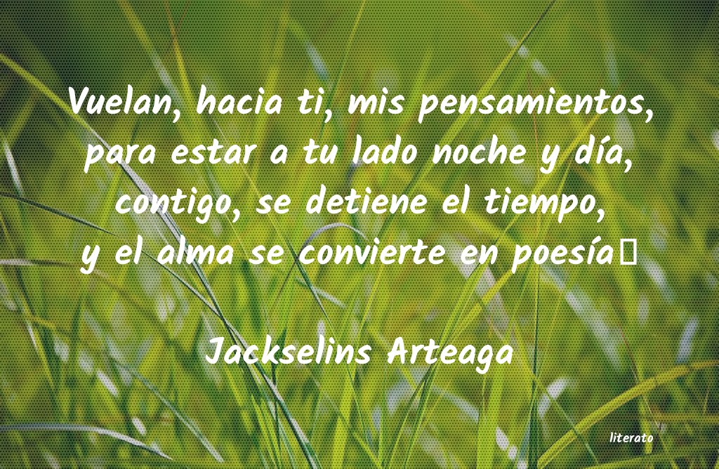 frases de Jackselins Arteaga