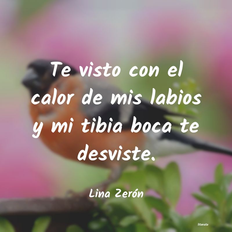 Frases de Lina Zerón