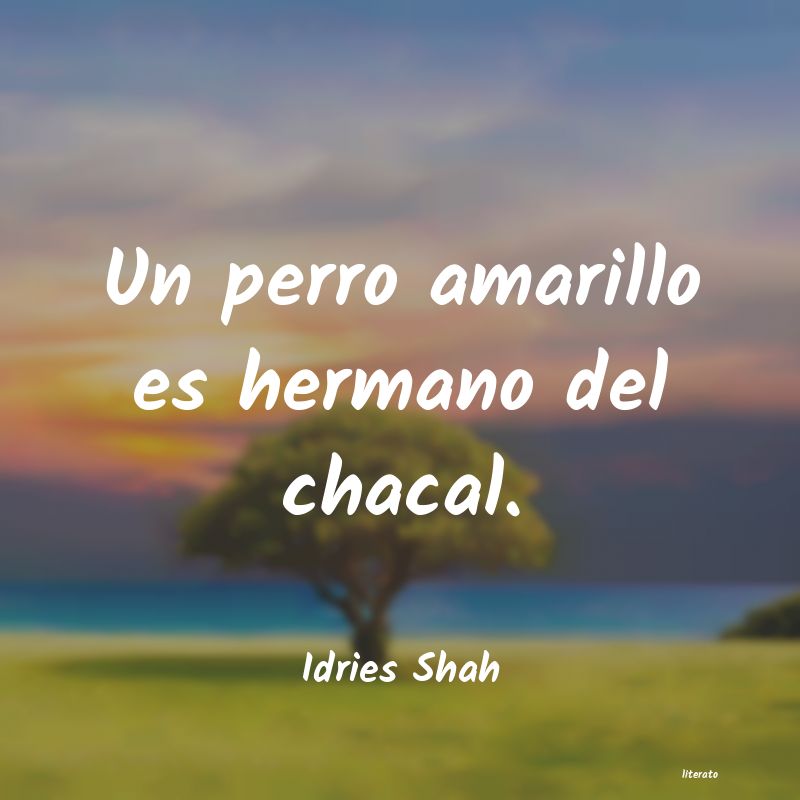 frases de Idries Shah