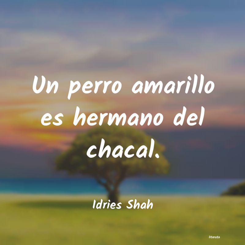 Frases de Idries Shah