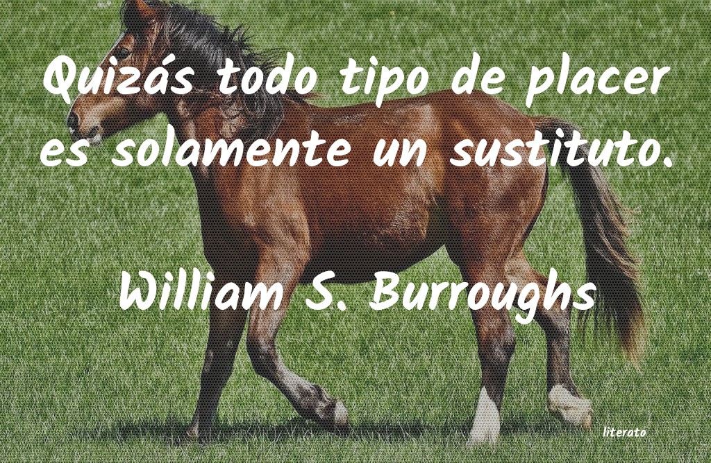 frases de William S. Burroughs