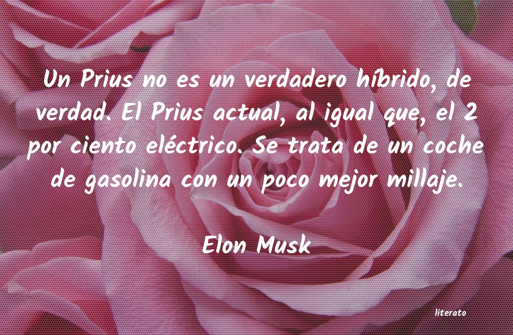 Frases de Elon Musk