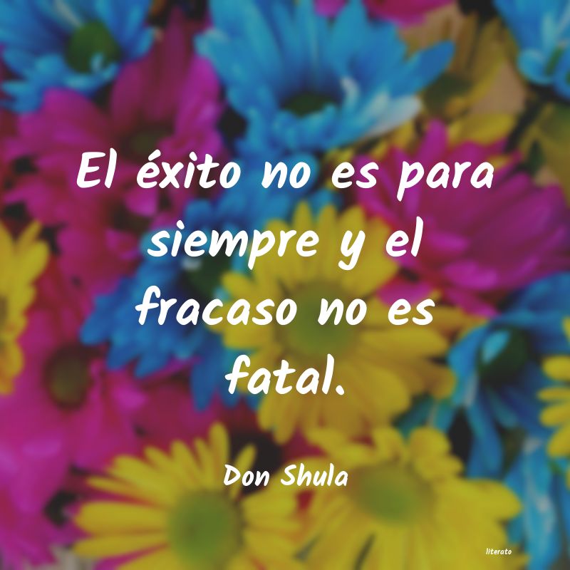 frases de Don Shula