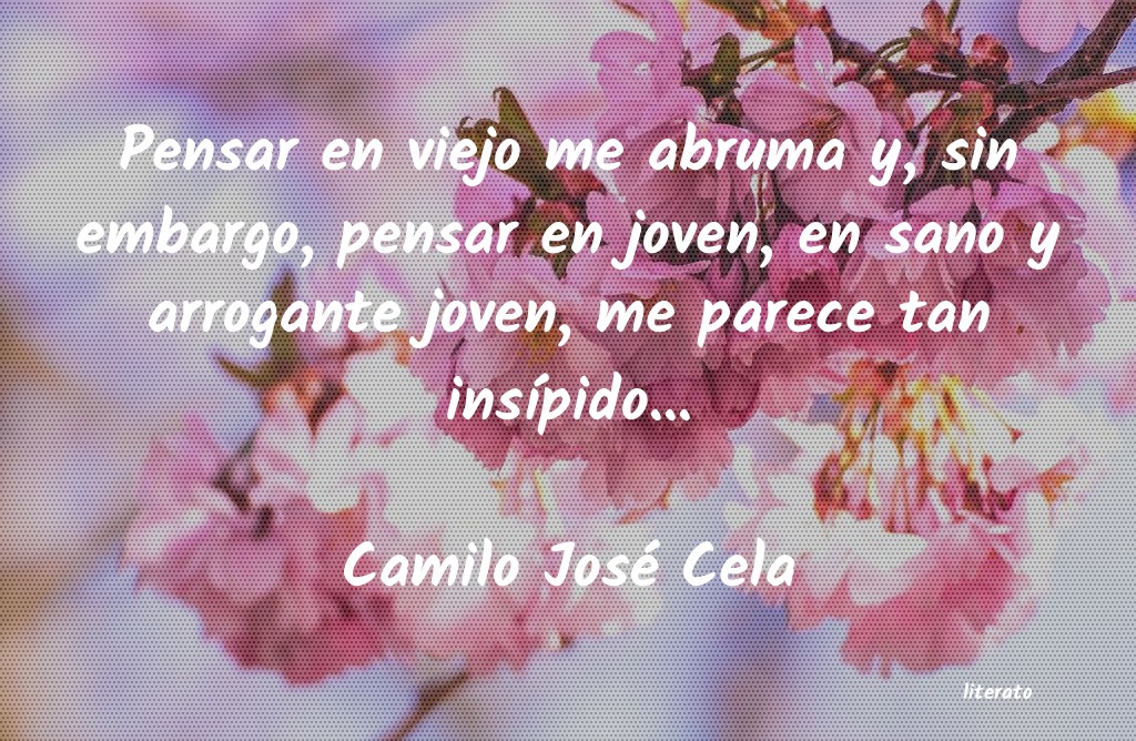 Frases de Camilo José Cela