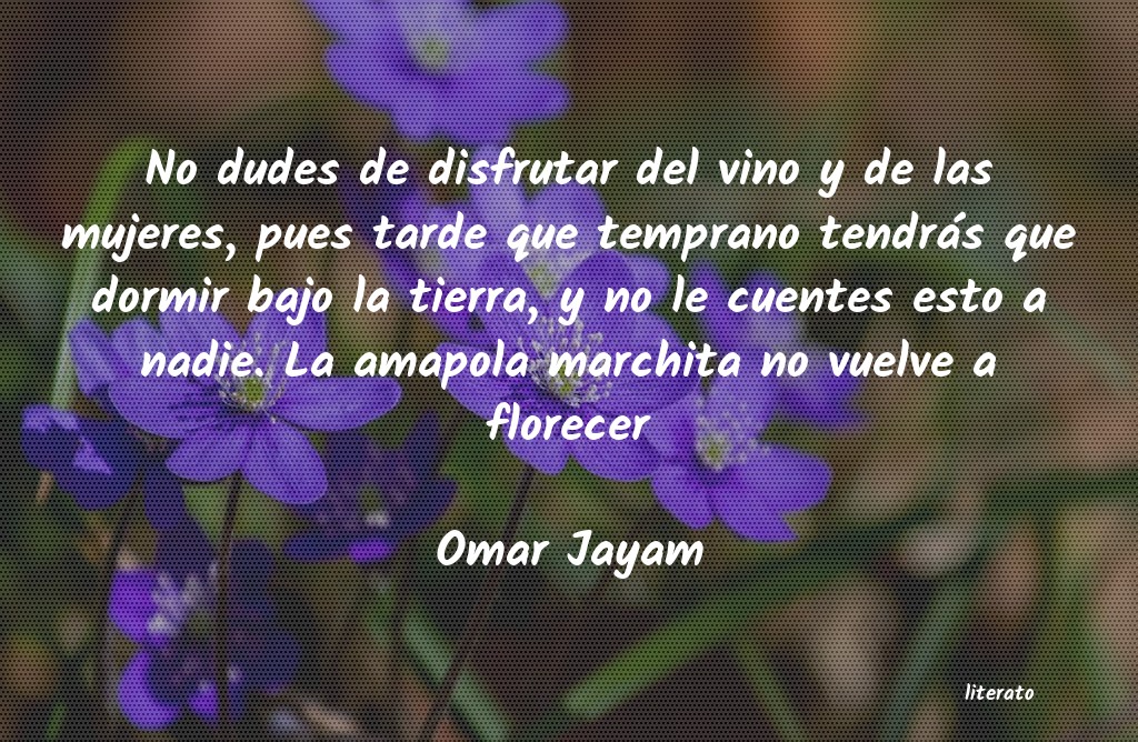 Frases de Omar Jayam