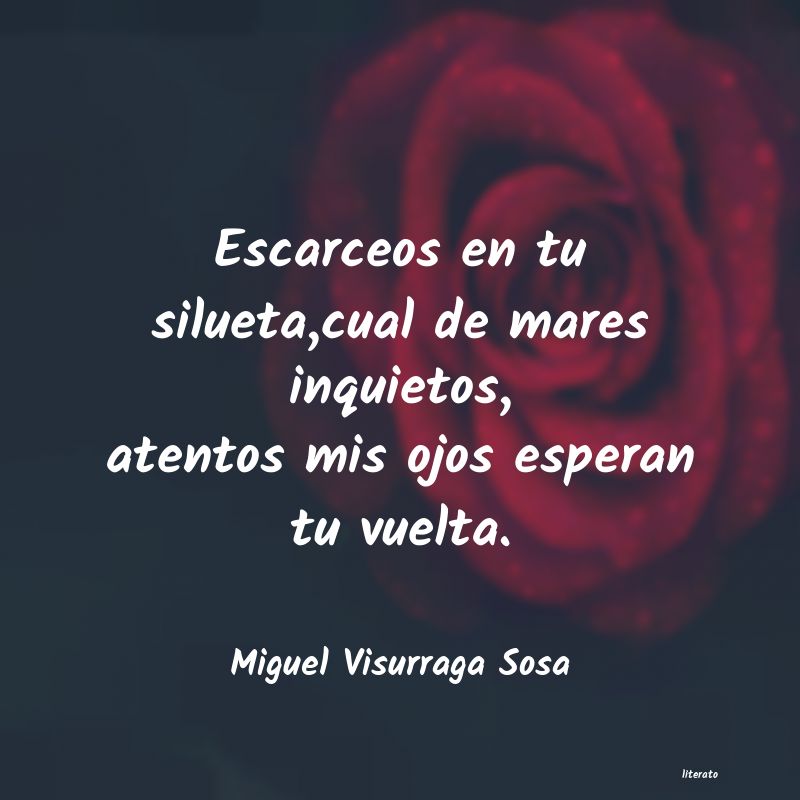 Frases de Miguel Visurraga Sosa