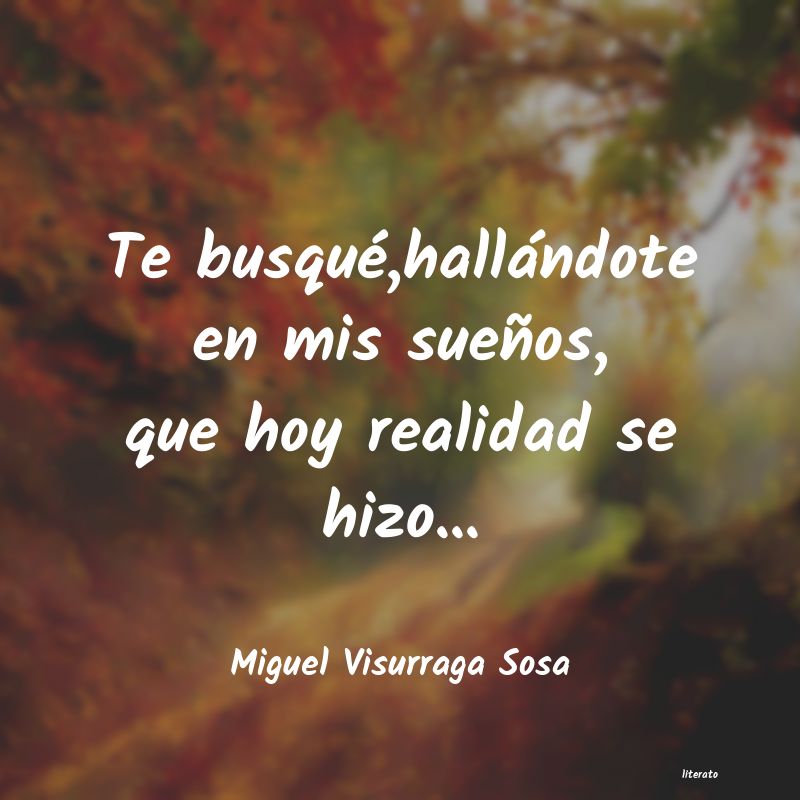 Frases de Miguel Visurraga Sosa