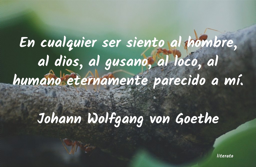 Frases de Johann Wolfgang von Goethe