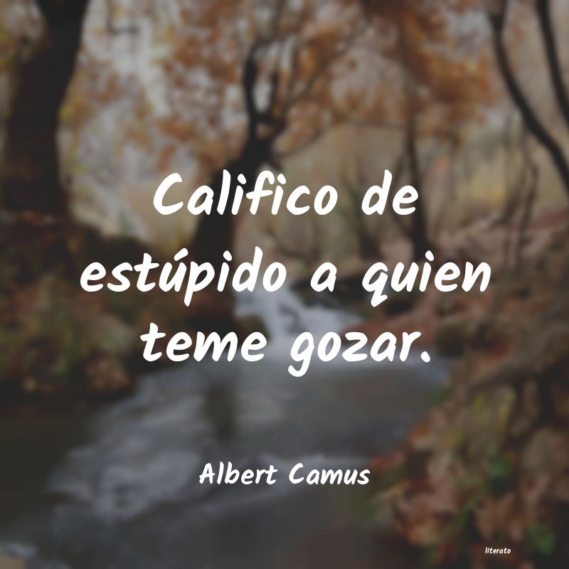 frases de Albert Camus