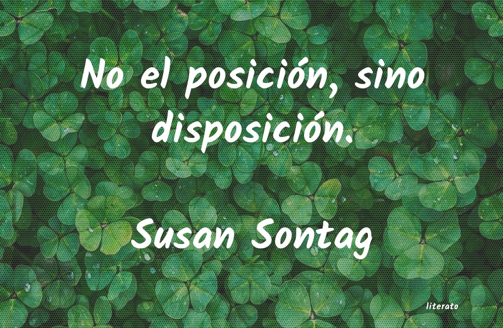 Frases de Susan Sontag