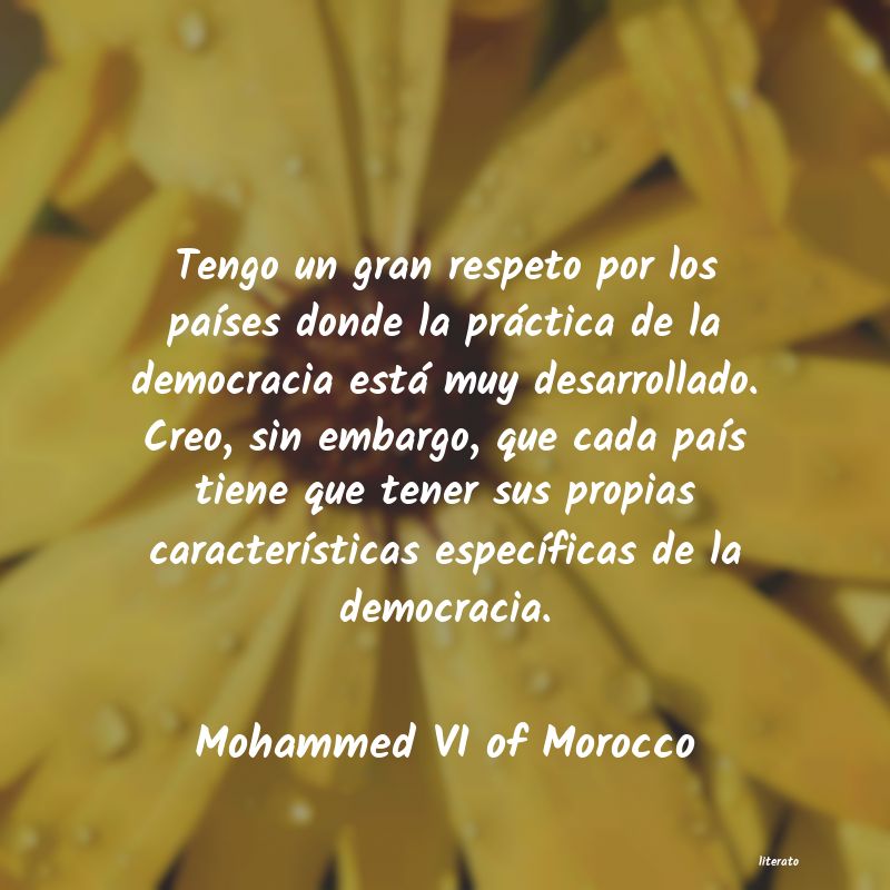 frases de Mohammed VI of Morocco