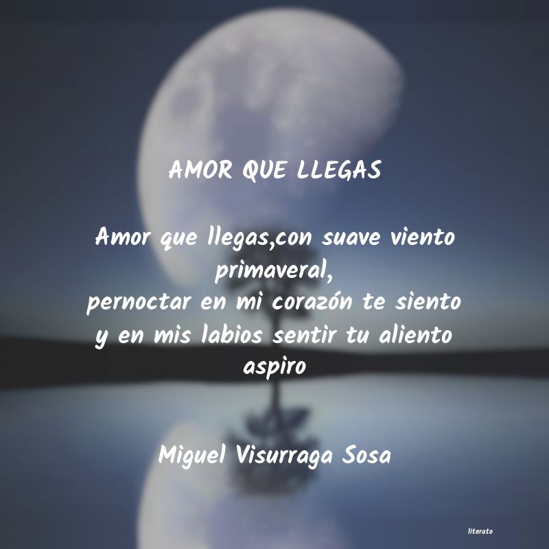 frases de Miguel Visurraga Sosa