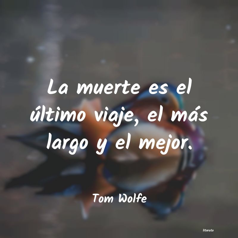 Frases de Tom Wolfe