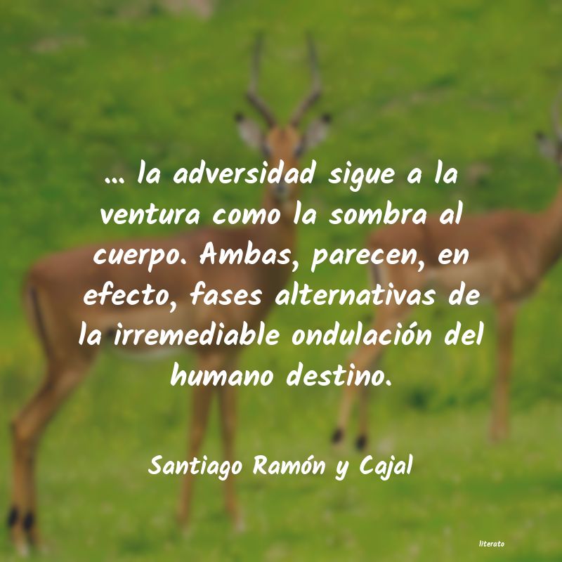 frases de Santiago Ramón y Cajal