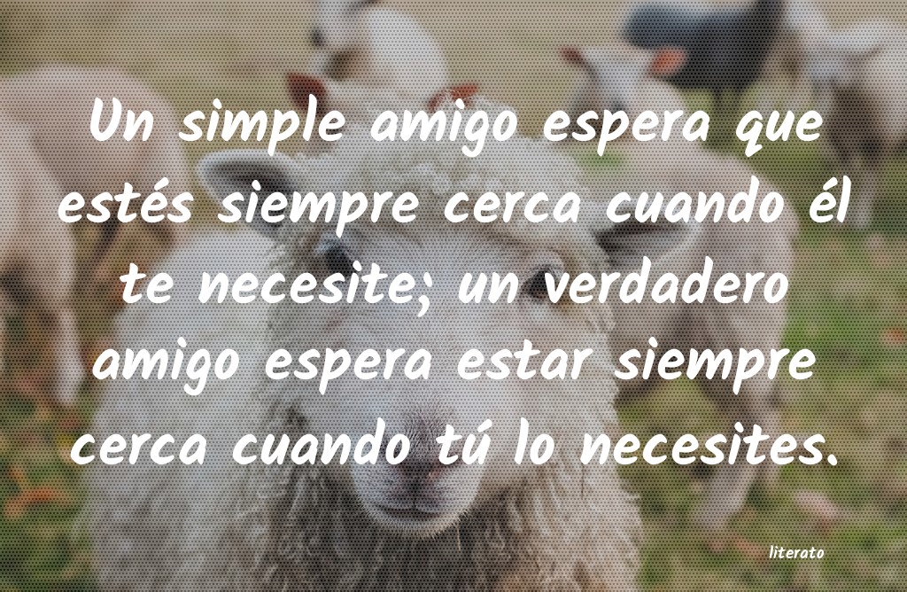 frases