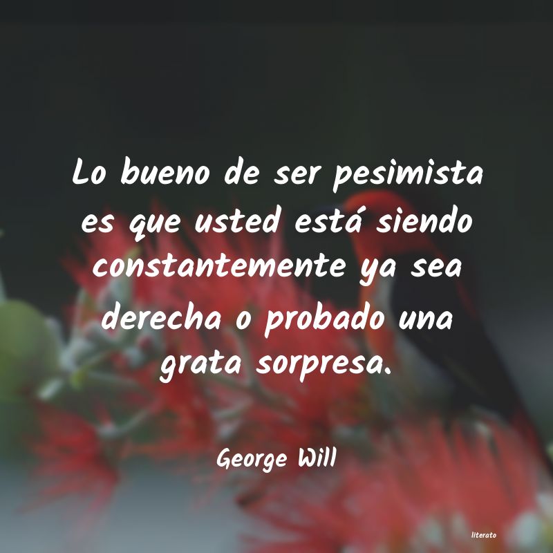 Frases de George Will