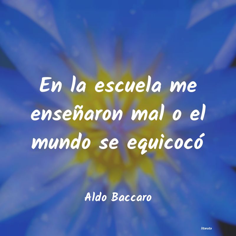 Frases de Aldo Baccaro