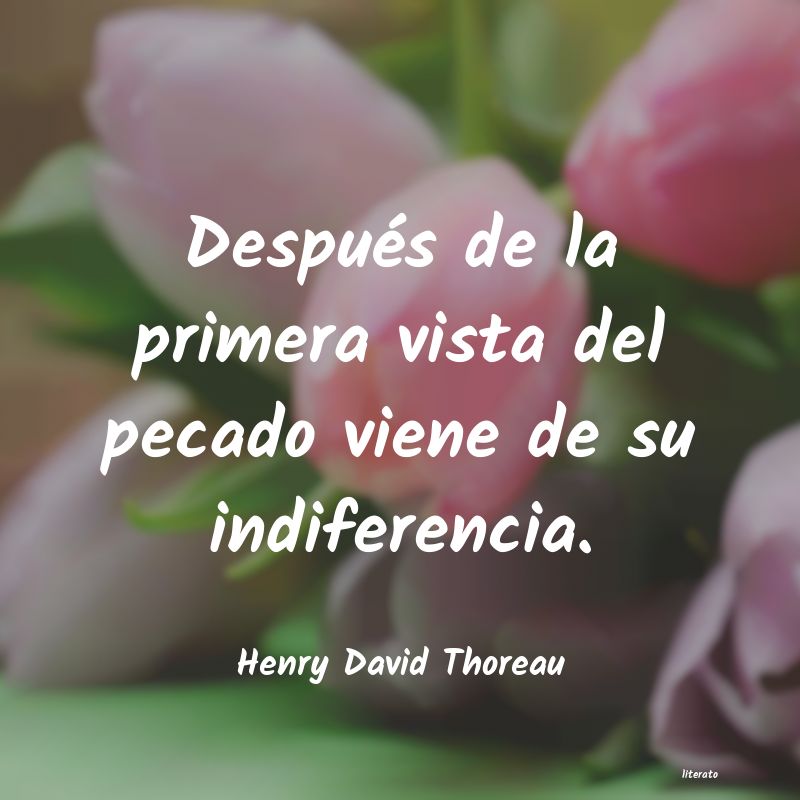 Frases de Henry David Thoreau