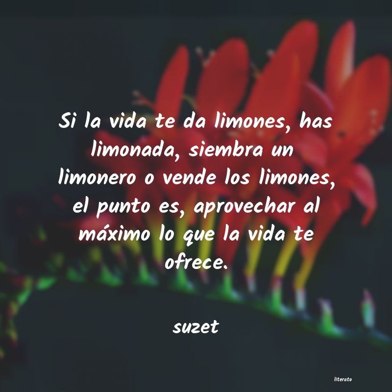 Frases de suzet