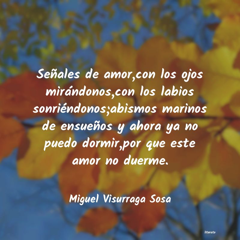 Frases de Miguel Visurraga Sosa