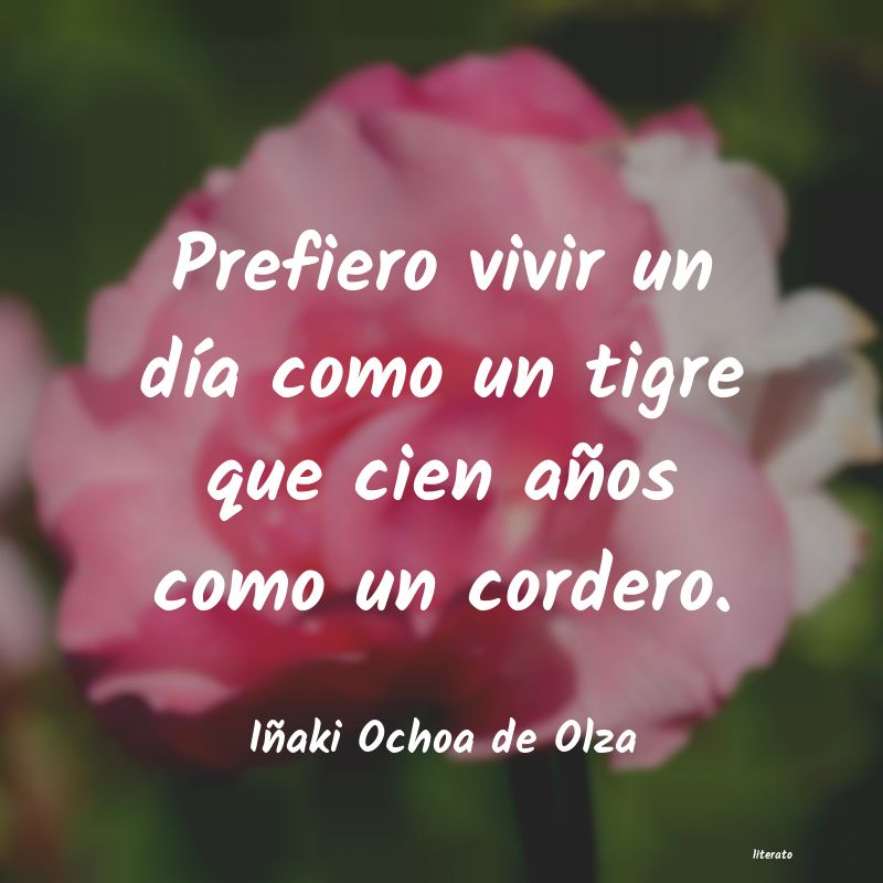 Frases de Iñaki Ochoa de Olza