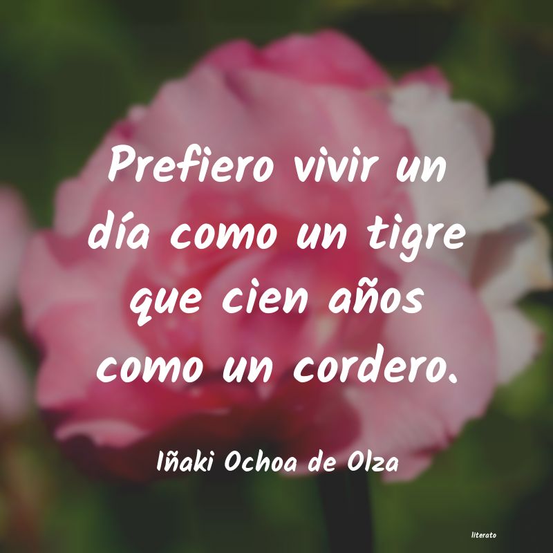 frases de Iñaki Ochoa de Olza