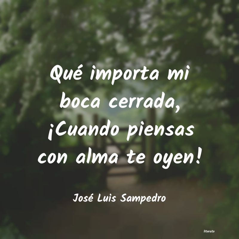 Frases de José Luis Sampedro