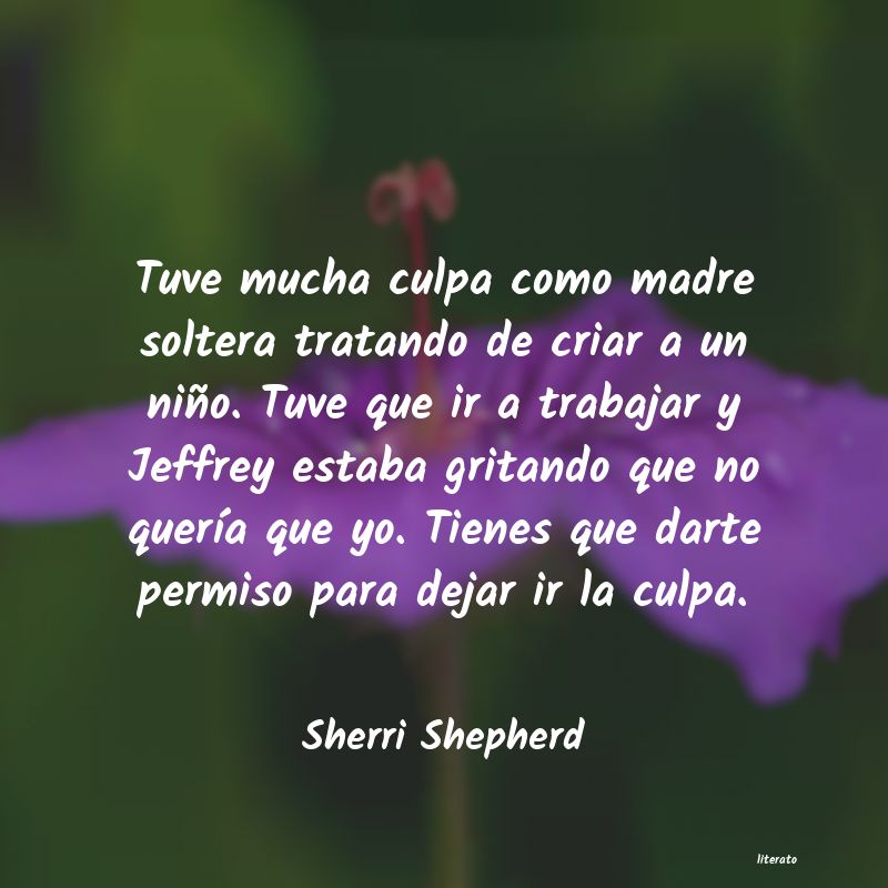 Frases de Sherri Shepherd