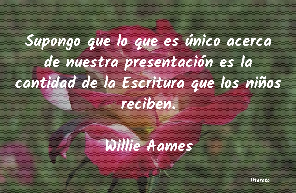 frases de Willie Aames