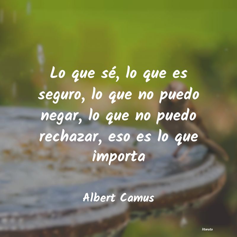 Frases de Albert Camus