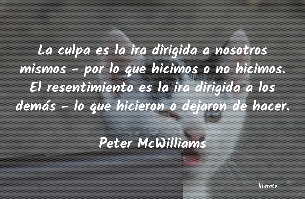 Frases de Peter McWilliams