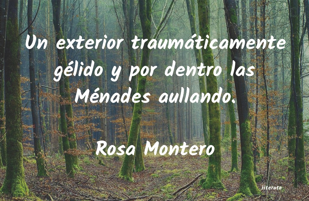 Frases de Rosa Montero
