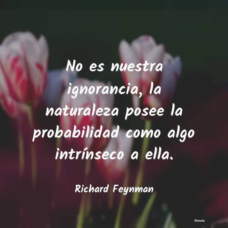 Frases de Richard Feynman