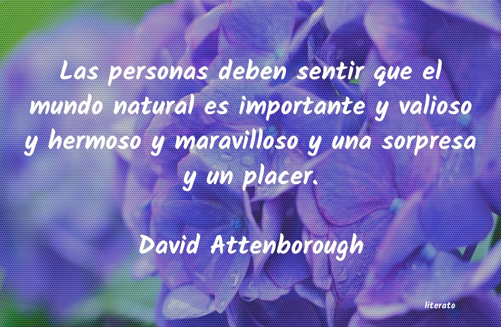 Frases de David Attenborough