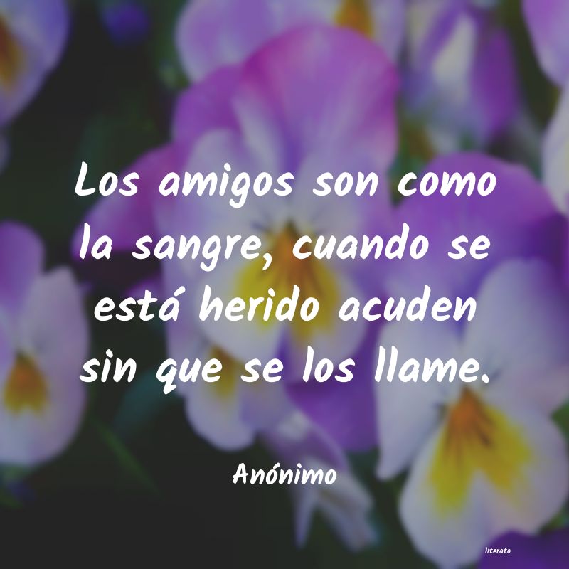 frases linda para una amiga