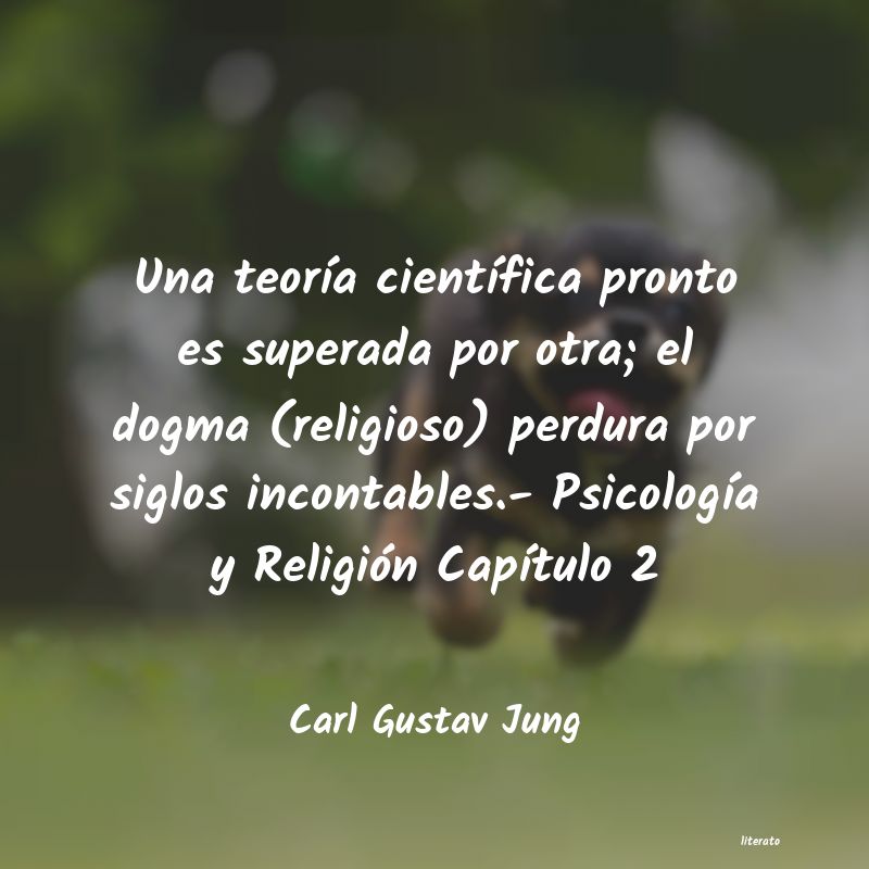 carl jung sentido
