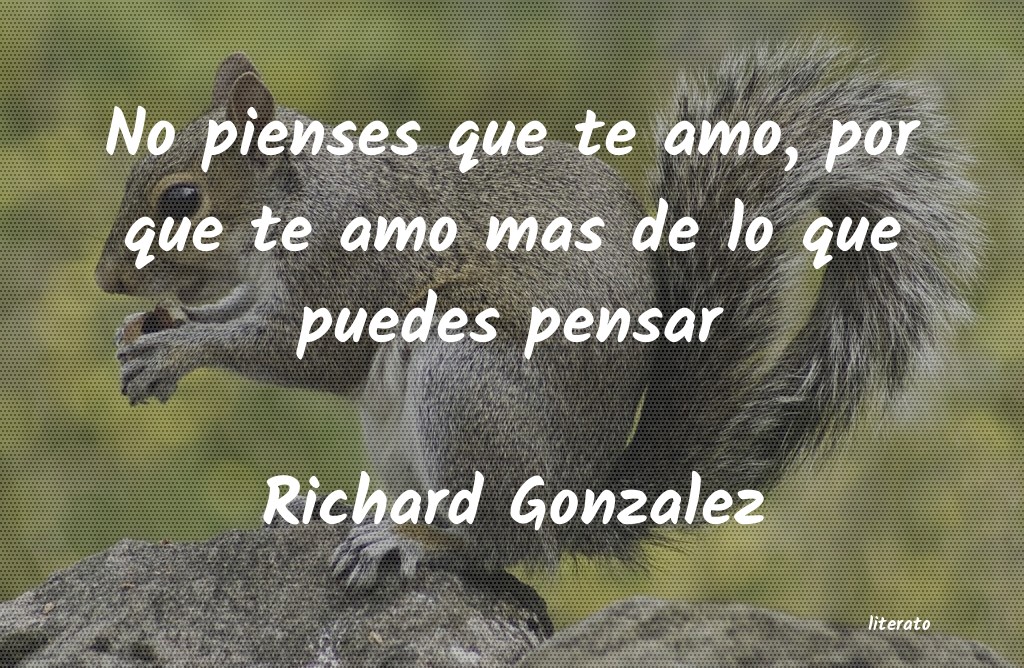 Frases de Richard Gonzalez