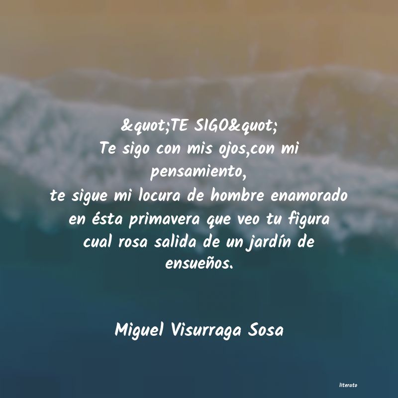 Frases de Miguel Visurraga Sosa