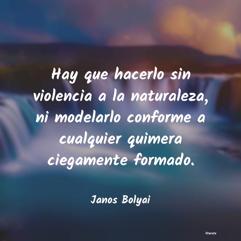 frases de Janos Bolyai