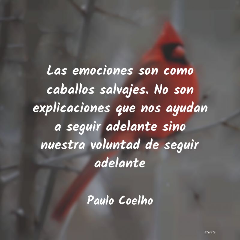 Frases de Paulo Coelho