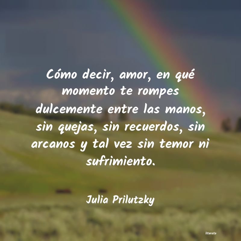 frases de Julia Prilutzky