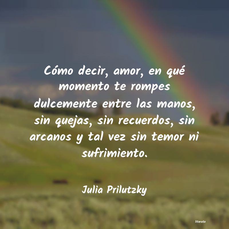 Frases de Julia Prilutzky